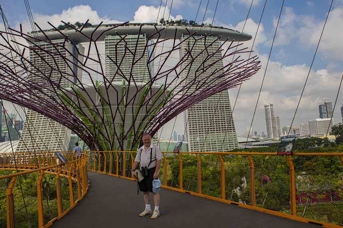 Gardens by the Bay - Singapore Itinerary