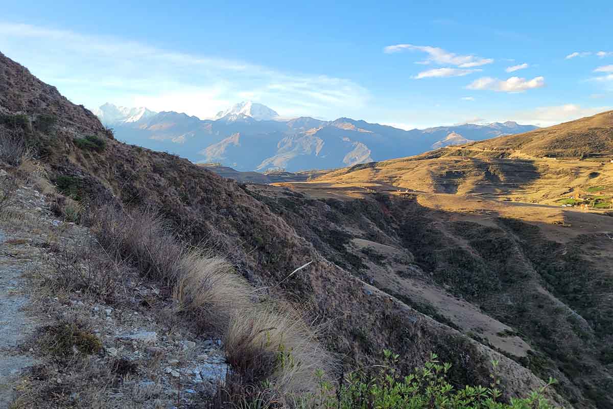 In Search of the Magnificent Andean Condor