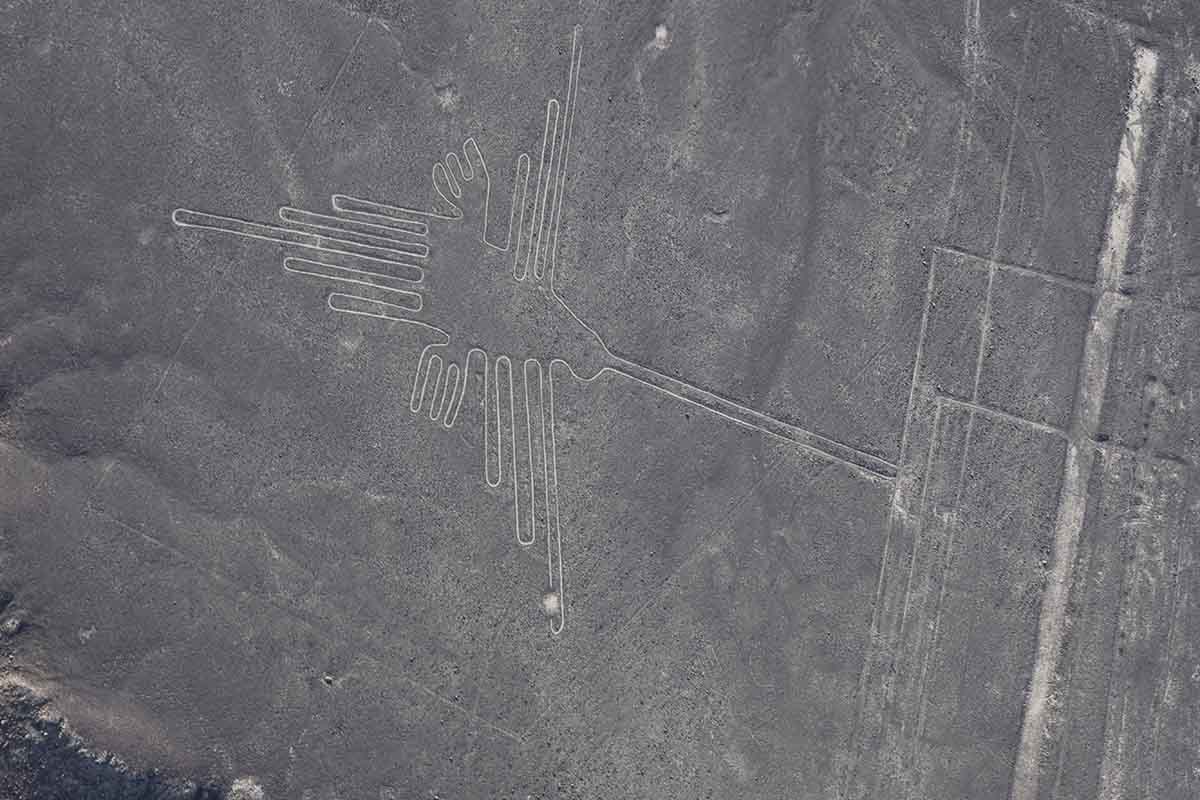 Travel in Peru - Nazca Lines - Hummingbird